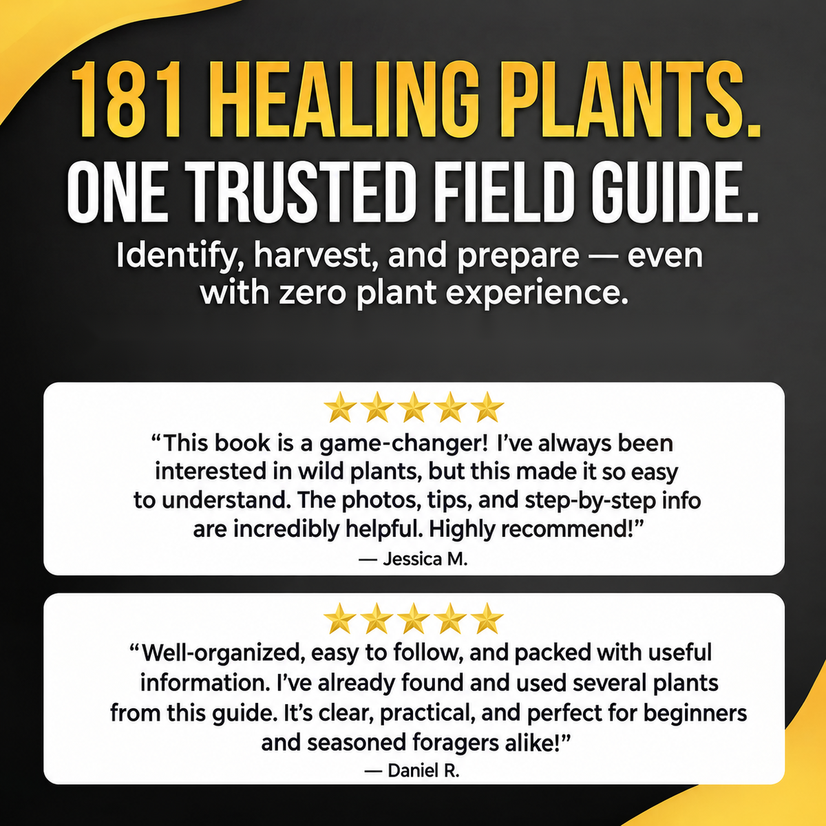 The Lost Book of Herbal Remedies
