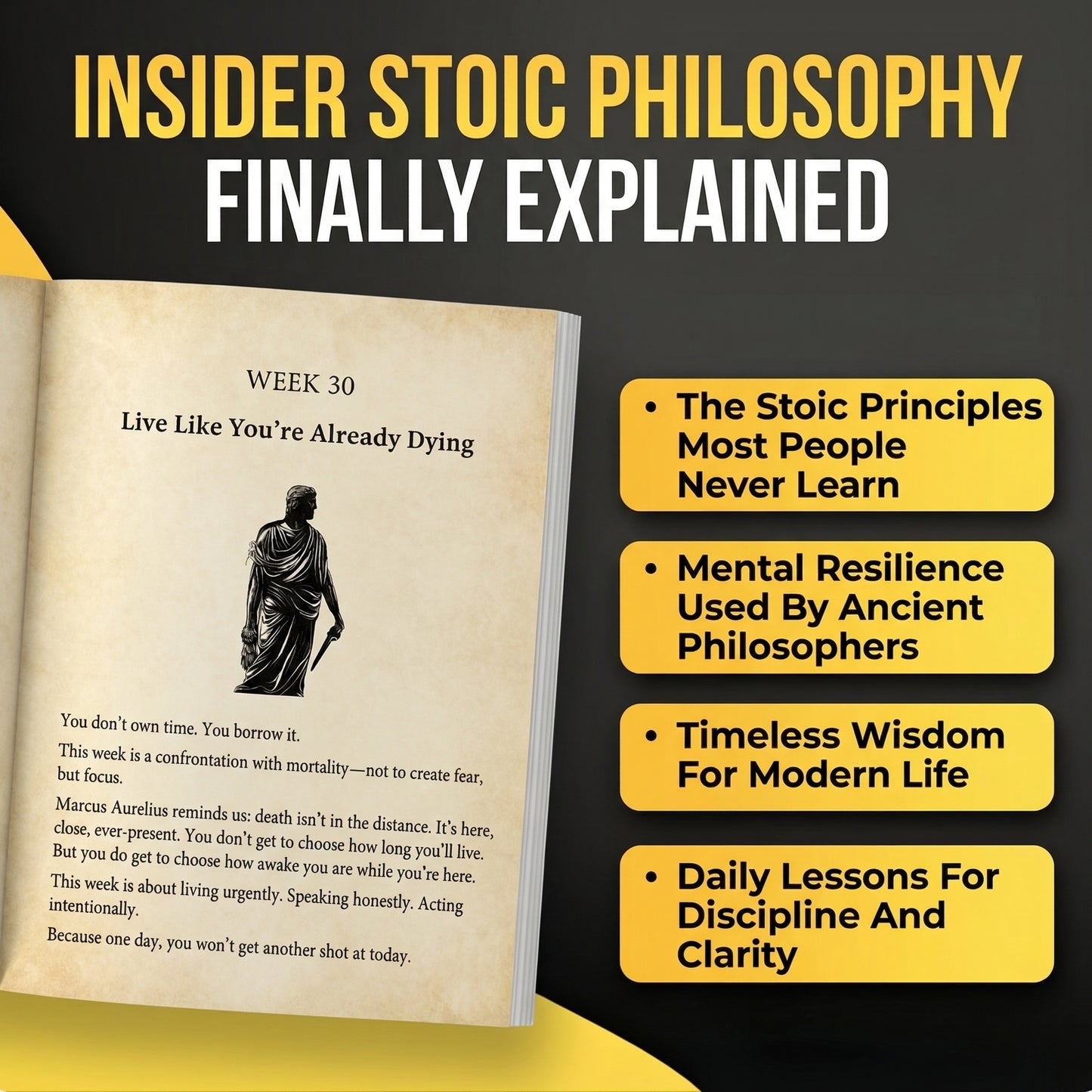Stoicism: 365 Daily Lessons For Motivation, Mental Strength, And Emotional Clarity