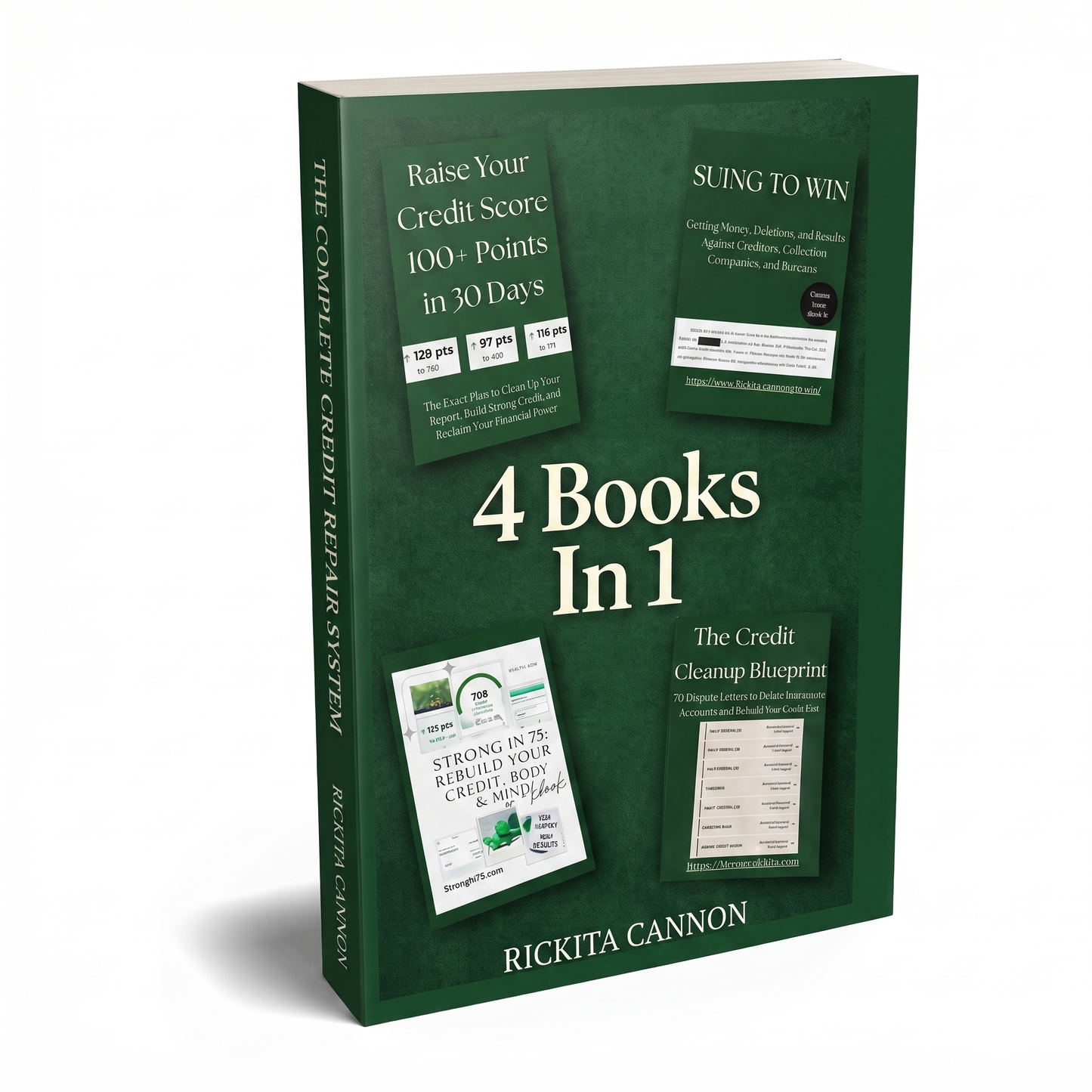 The Complete Credit Repair System