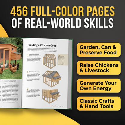 Back to Basics: A Complete Guide to Traditional Skills